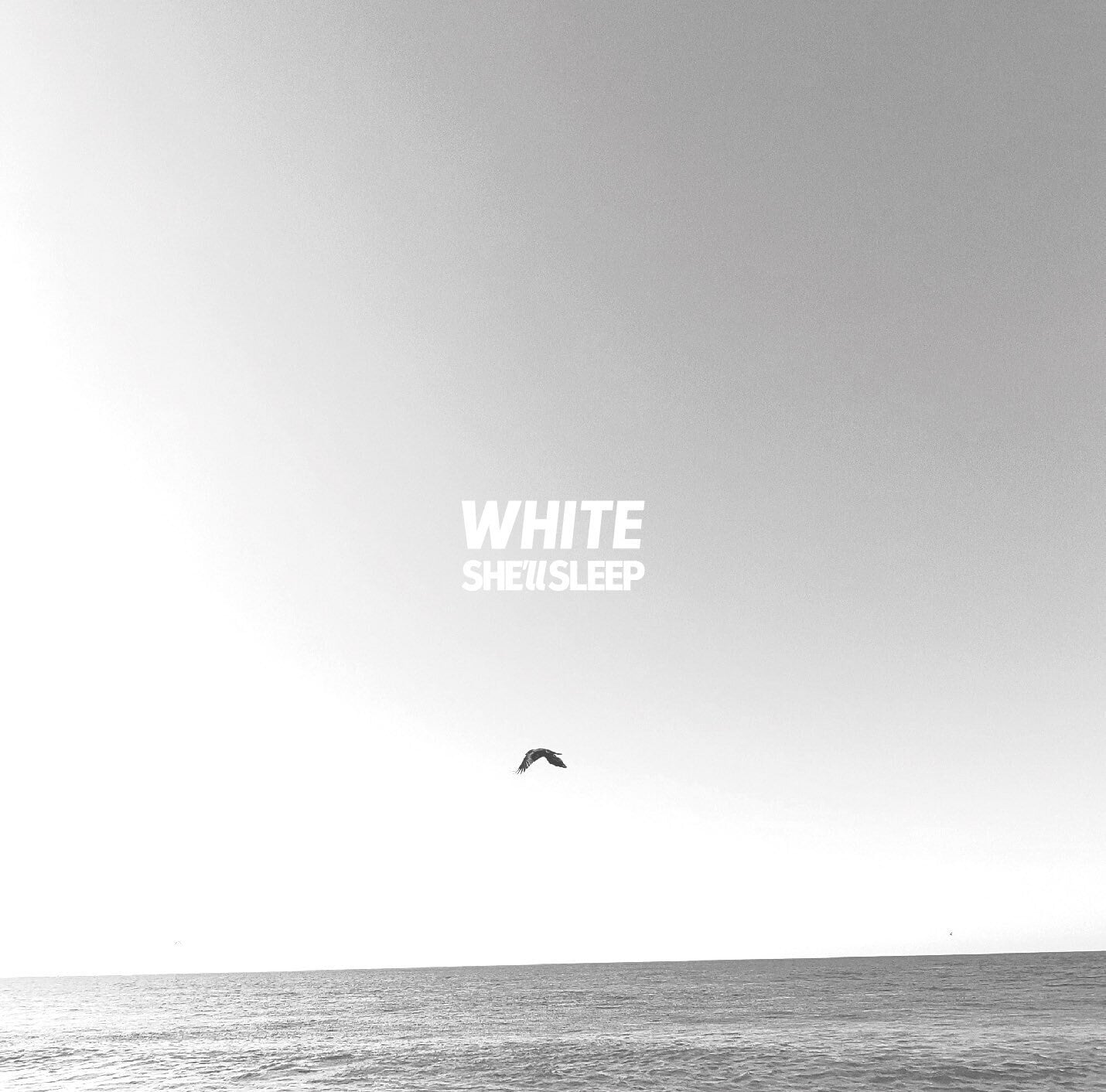 1/20発売】SHE'll SLEEP / WHITE | motion records