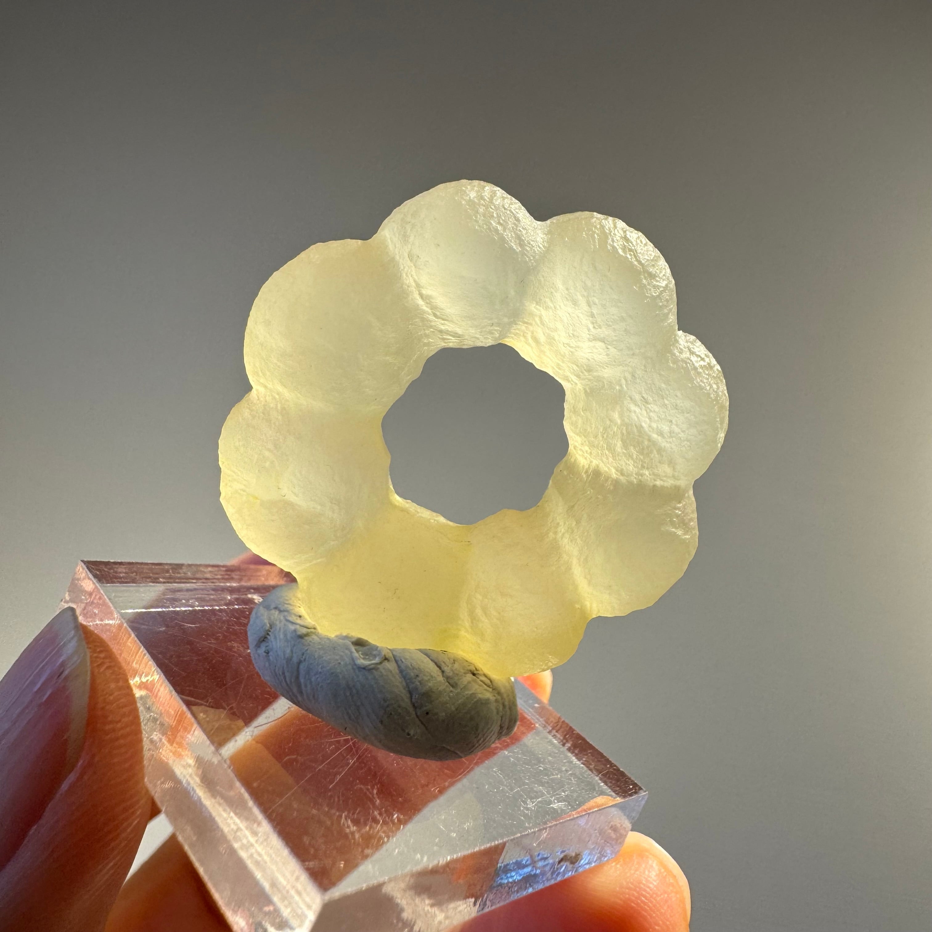 ポンデリングフローライト母岩なし＊ブドウ状蛍石原石＊251001＊天然石