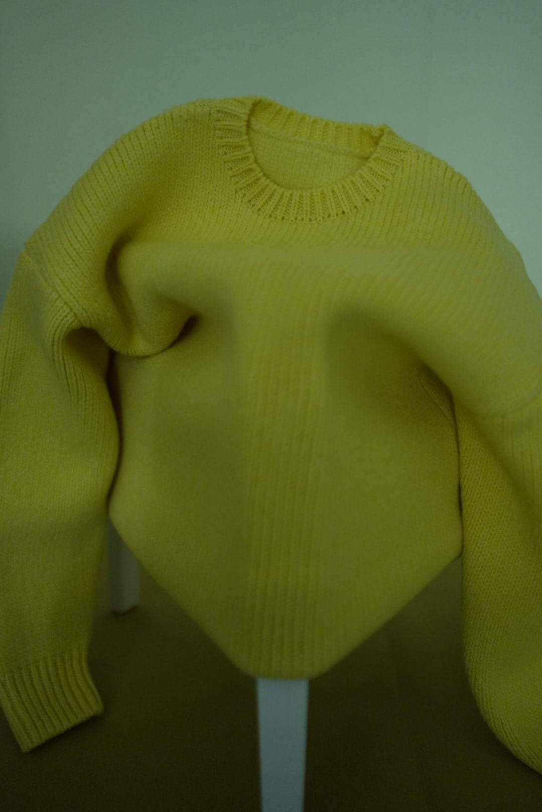 MOON TREE PLANET | MOON TREE PLANET