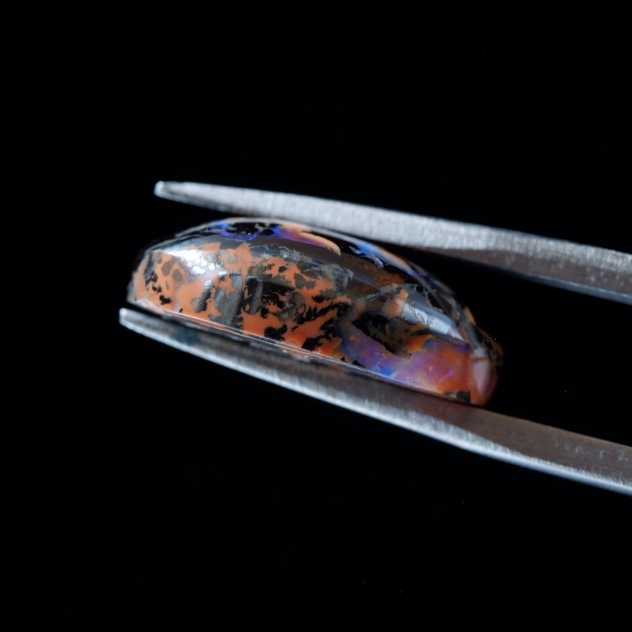 ピクチャーオパール 20215AP54 | 洋灯舎