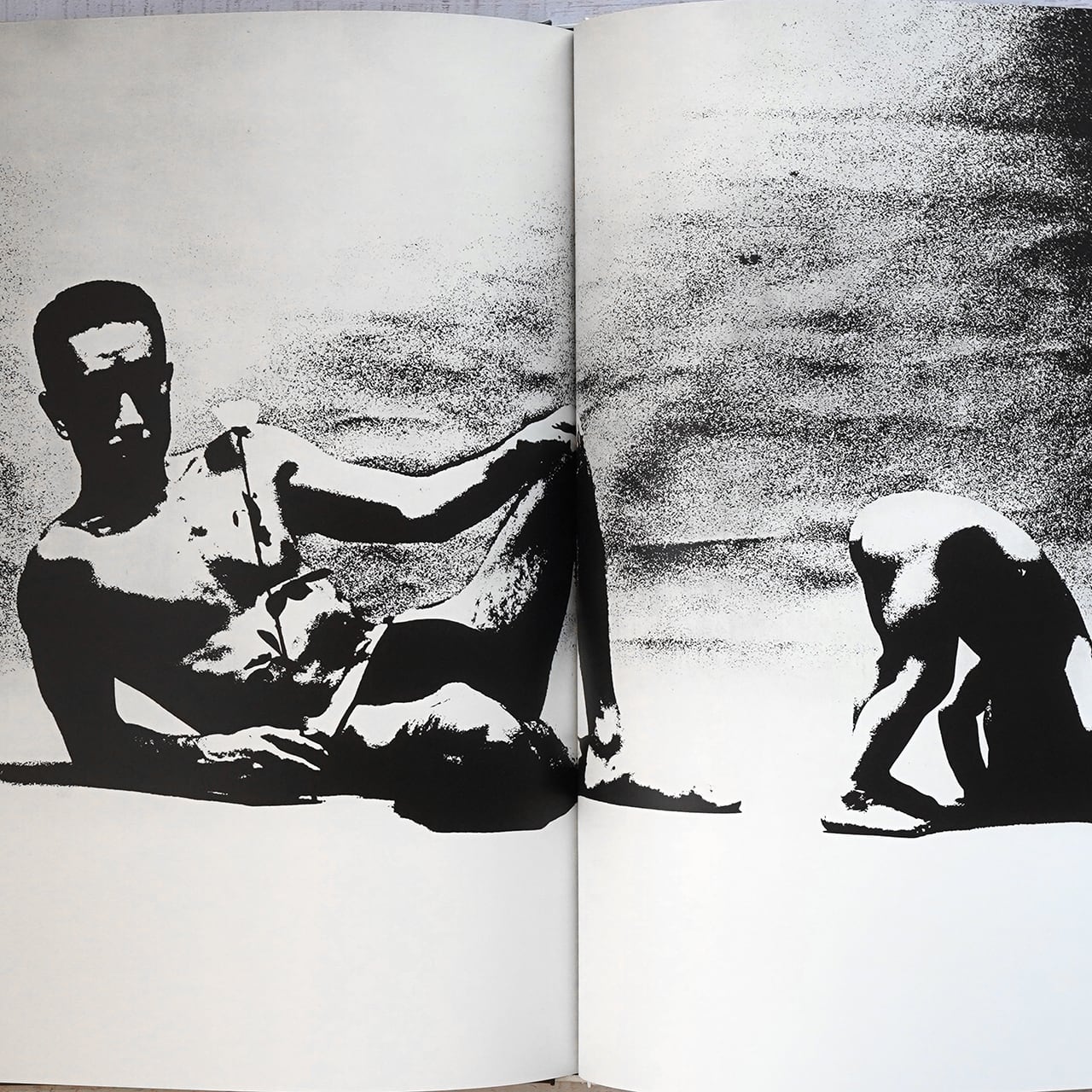 薔薇刑〈完全復刻版・限定500部〉 細江英公・三島由紀夫 | タイムカプセル