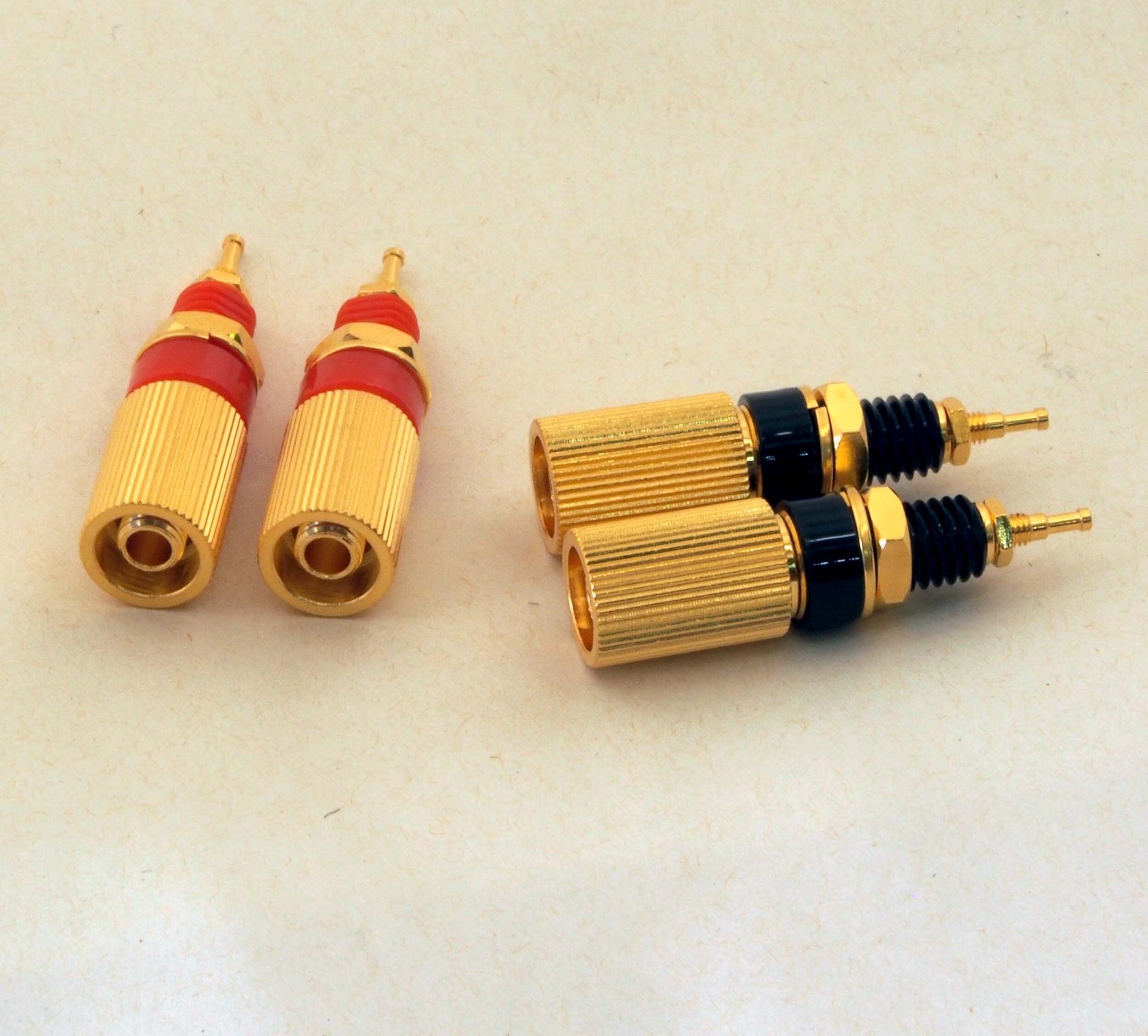 Yoshii9 MK II用アンプ | タイムドメインラボ ミニショップ