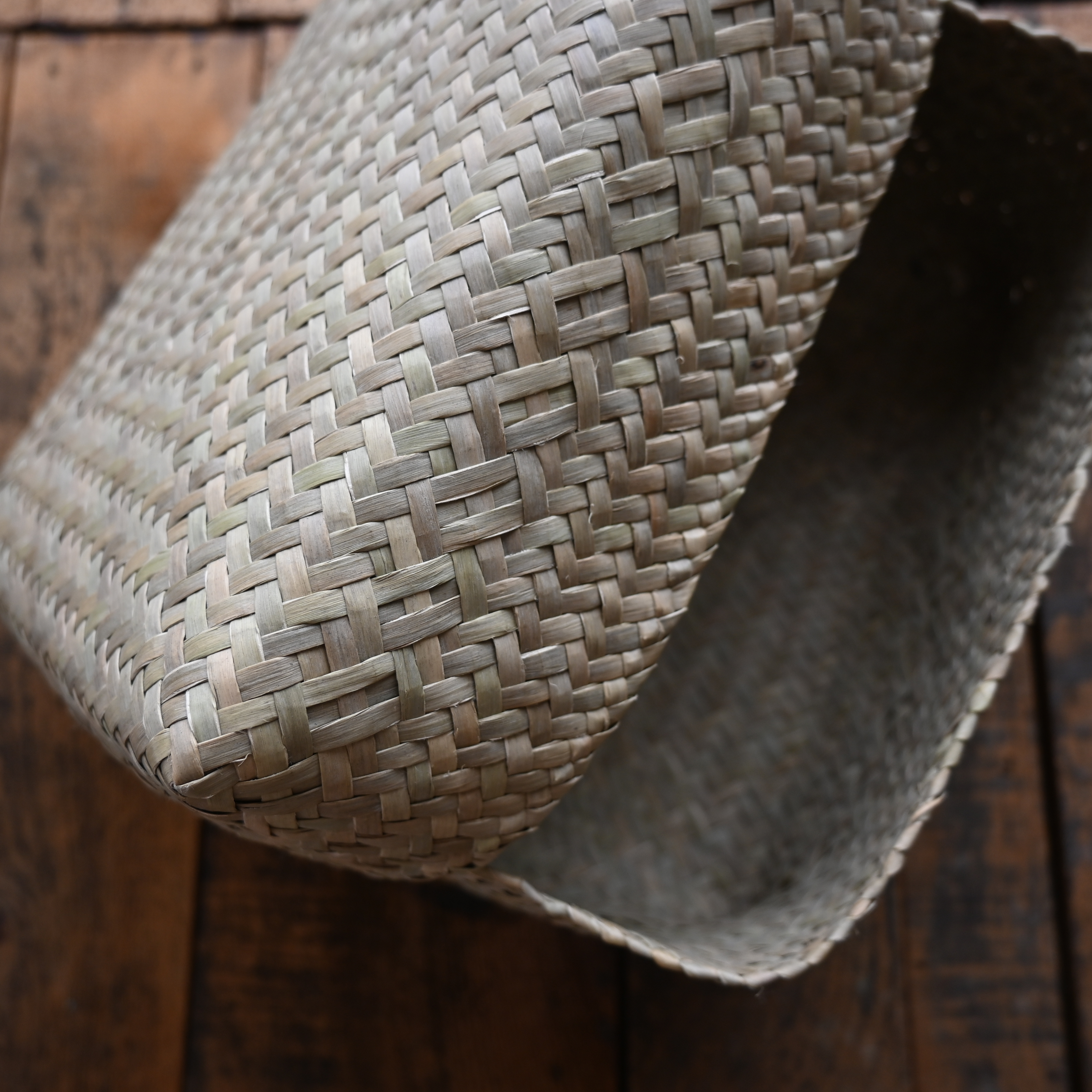 カチュー(水草) バスケット ボックス | Pan puri yêe