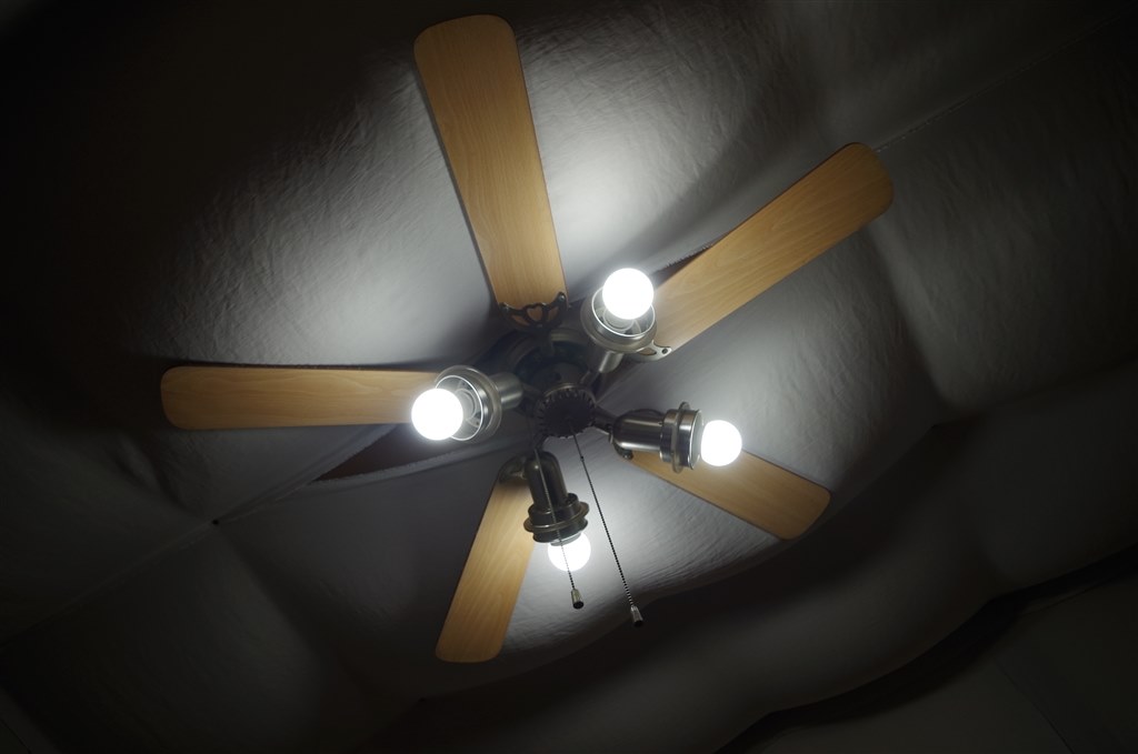 黒死病完治なるか？？？ ぱーと2』 ペンタックス PENTAX K-50 ダブル