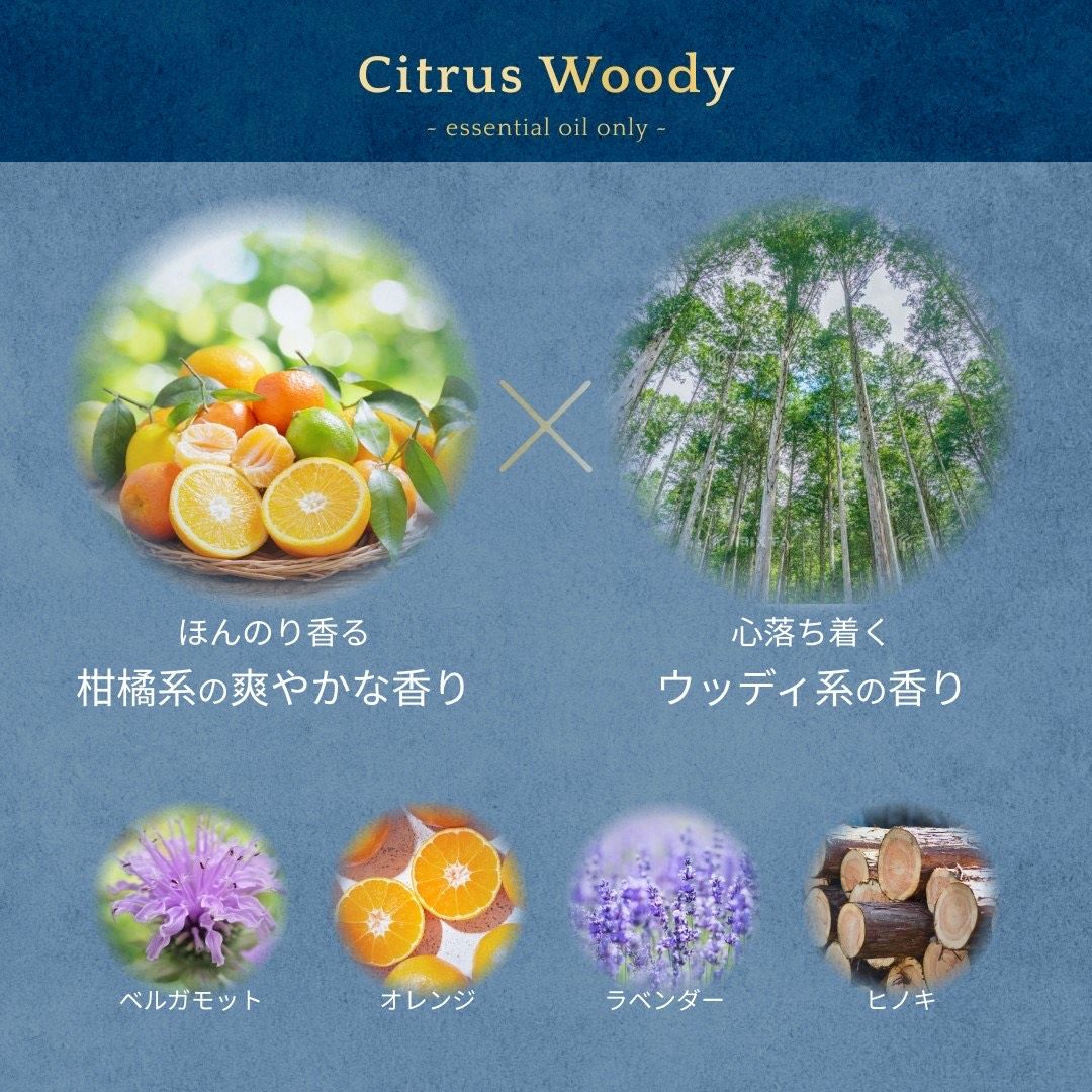 ビータークリームシャンプー 390g – ビューティークレア