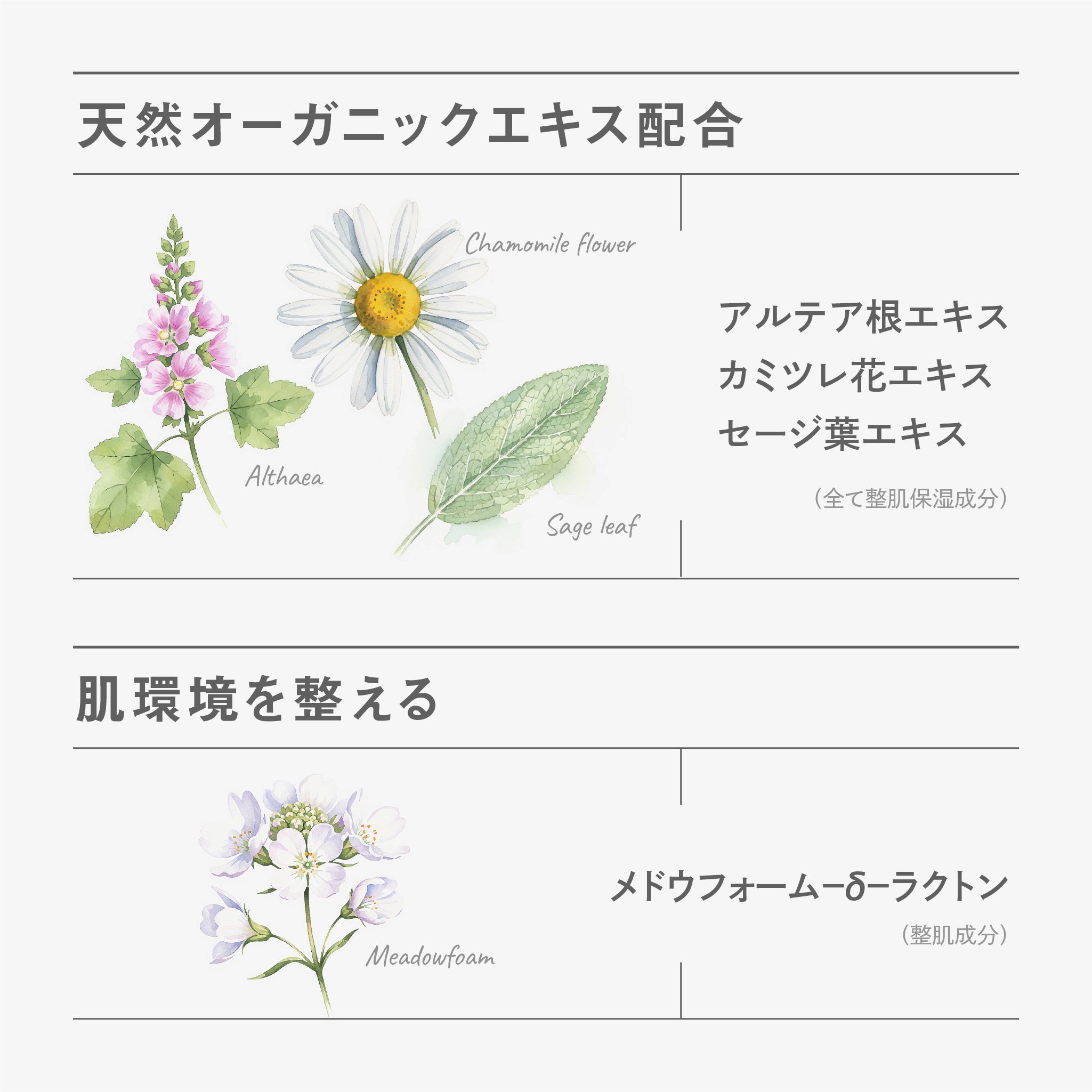 BF トライアルセット｜better future® – 【公式】better future