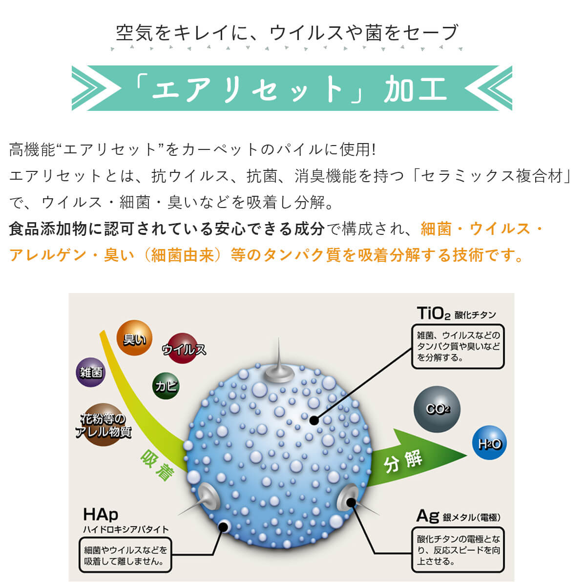 抗ウイルス・アレル物質低減で肌に優しい洗えるラグ『ベルベル』- ラグ