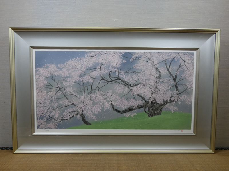 美品 掛け軸 中島千波筆「臥龍桜」名画 解説付 縁起物 日本画 中島千波