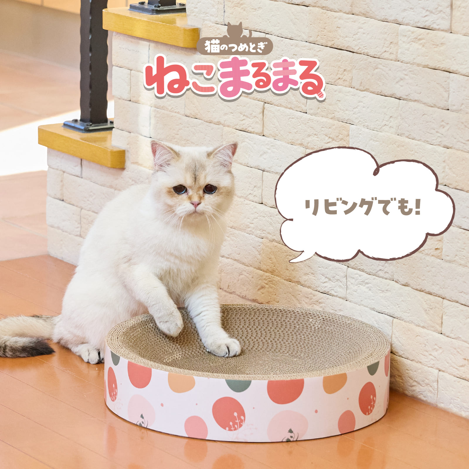 ボンビアルコン オンラインショップ / 猫のツメトギ ねこまるまる