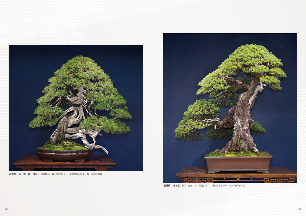 第90回 銘風盆栽展 記念帖 | 盆栽、盆栽書籍、盆栽鉢の通販│近代出版