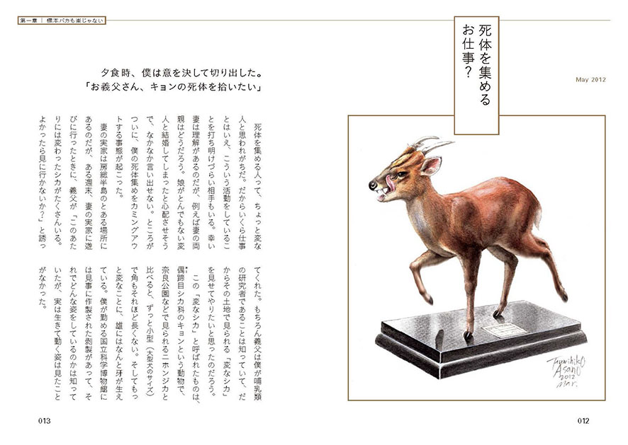 標本バカ - ブックマン社