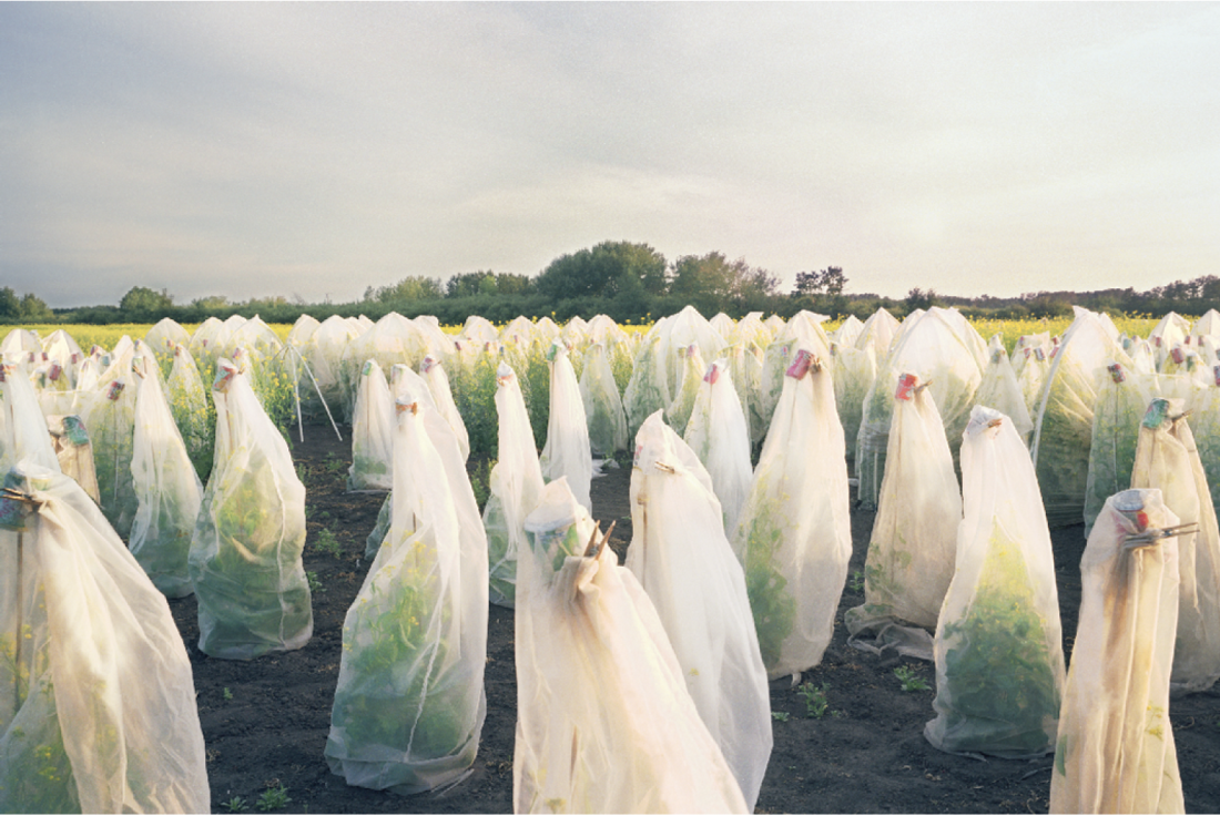 Saskatchewan: Uncommon Views” by John Conway – Border Crossings