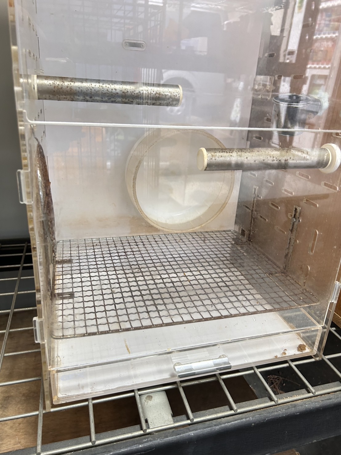 中古用品 GEX アクリルルームⅢ 390High ‼ - ☆kenny東京本店☆