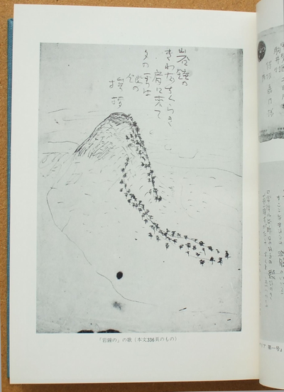 校本 宮澤賢治全集 第一巻 短歌』 | ひとでなしの猫