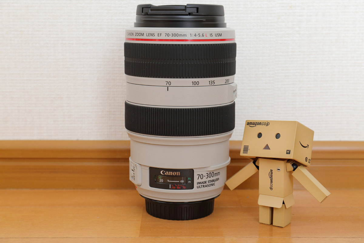 EF70-300mm F4-5.6L IS USM | Footprints -足跡-