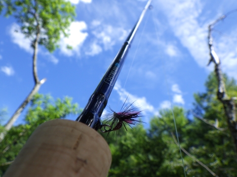 ティムコ ユーフレックスJ-STREAM N+ 823-4インプレッション - いわな