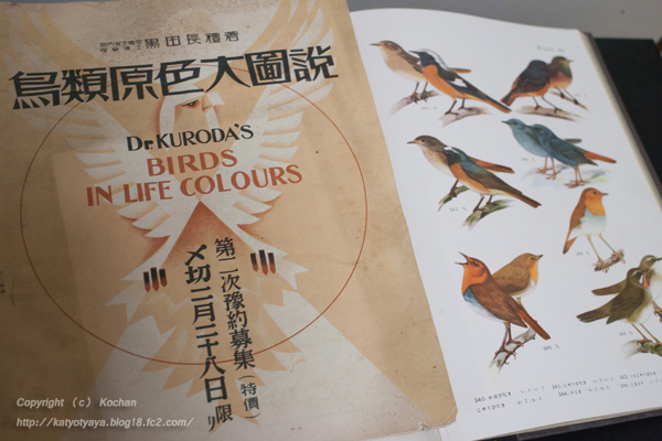 鳥類、野鳥図鑑の歴史 | 花鳥茶屋@BLOG