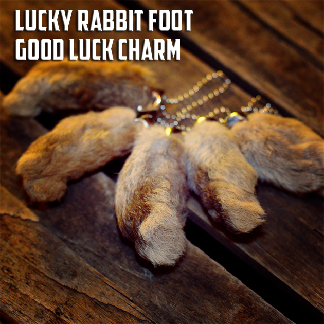 ラビットフット。 | MUSHMANS BLOG | マッシュマンズ ブログ