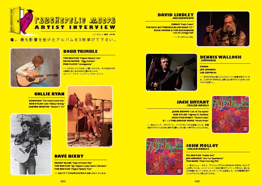 PSYCHEDELIC MOODS A Young Persons Guide To Psychedelic Music USA