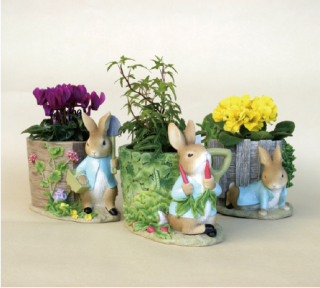 ピーターラビットのポットカバーが新発売！ | ピーターラビット