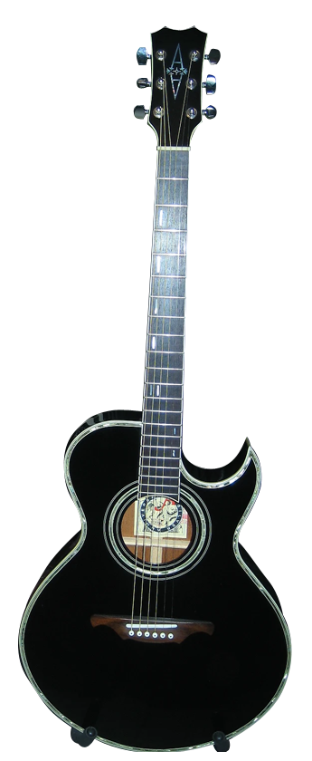 ALVAREZ 2555 BK (Folk) for sale - Price and Used Value