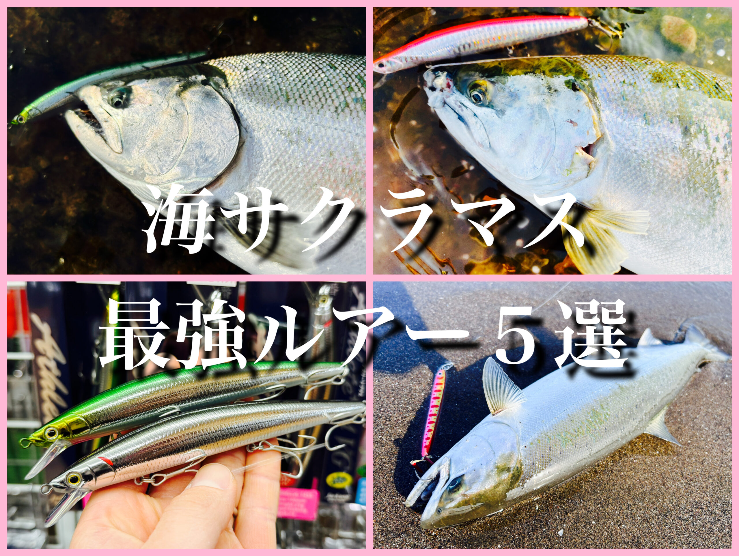 知りたかった！サクラマスの最強ルアー5選とルアーの使い方を釣具屋