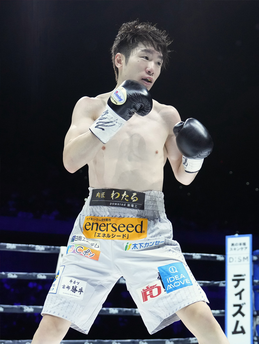 寺地拳四朗 特設ページ｜京都ボクシングジム｜フィットネス