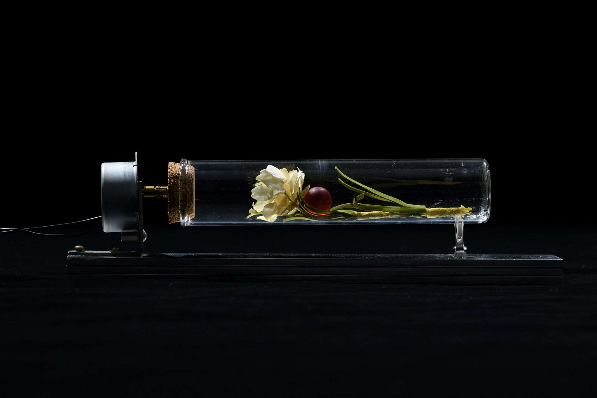 藤本由紀夫 オンラインショー「Yukio Fujimoto Sound Album