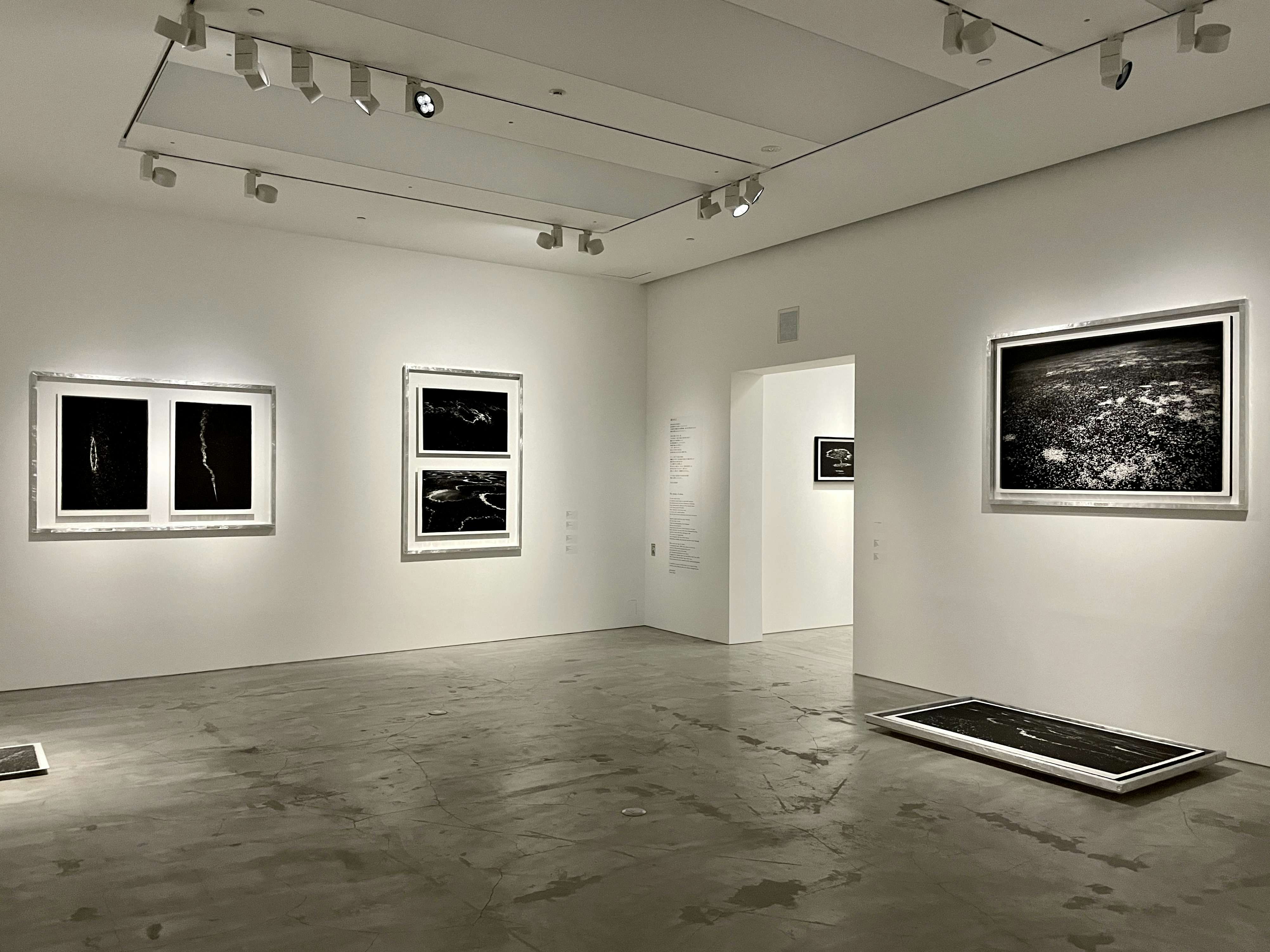 高木由利子 写真展 カオスコスモス 弐 —桜—」開幕レポート。宇宙や広大