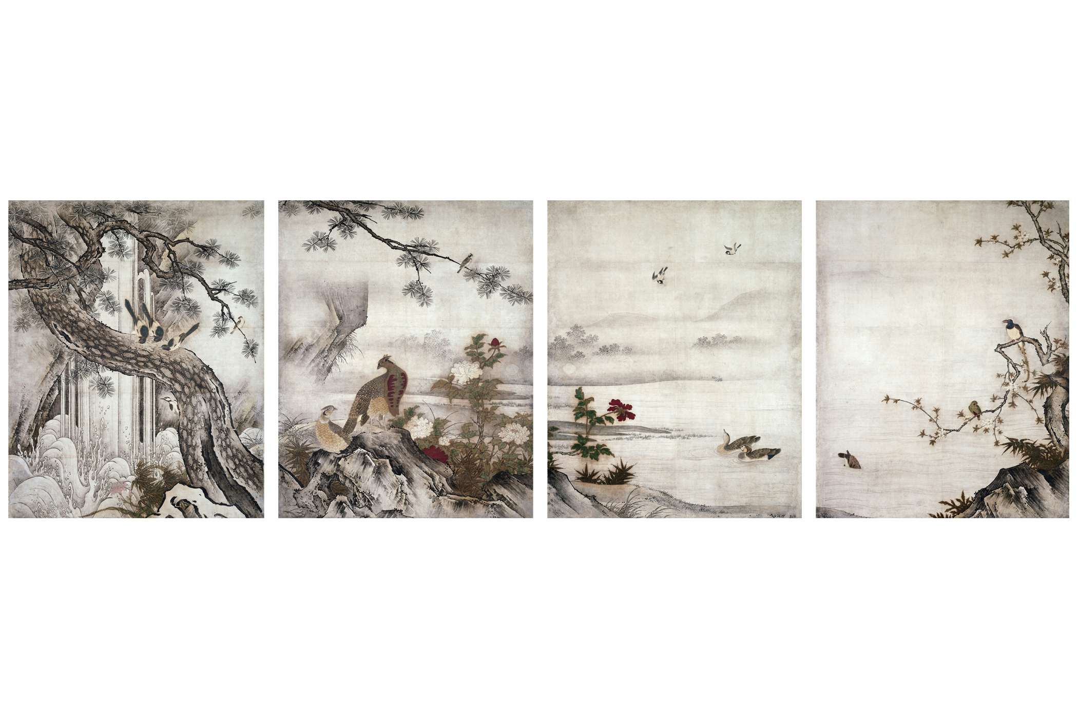 w_motonobu_001.jpg?rect=0,109,