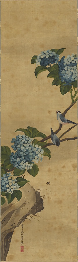 紫陽花文鳥図 文化遺産オンライン