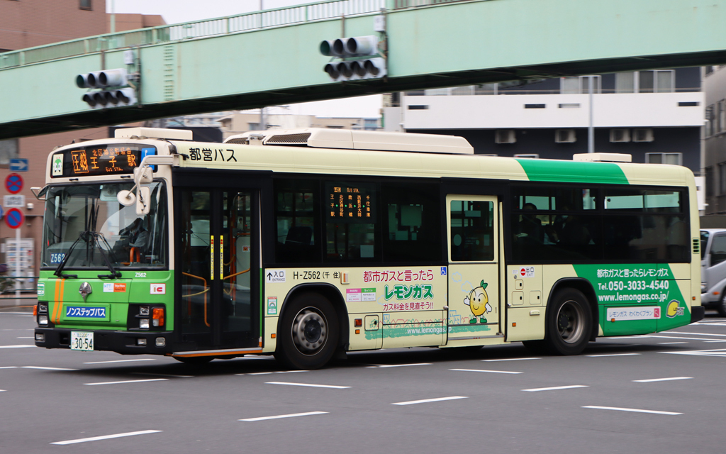 ZARDバス ZX 600 - Grey/White/Maroon – The Smart Dresser