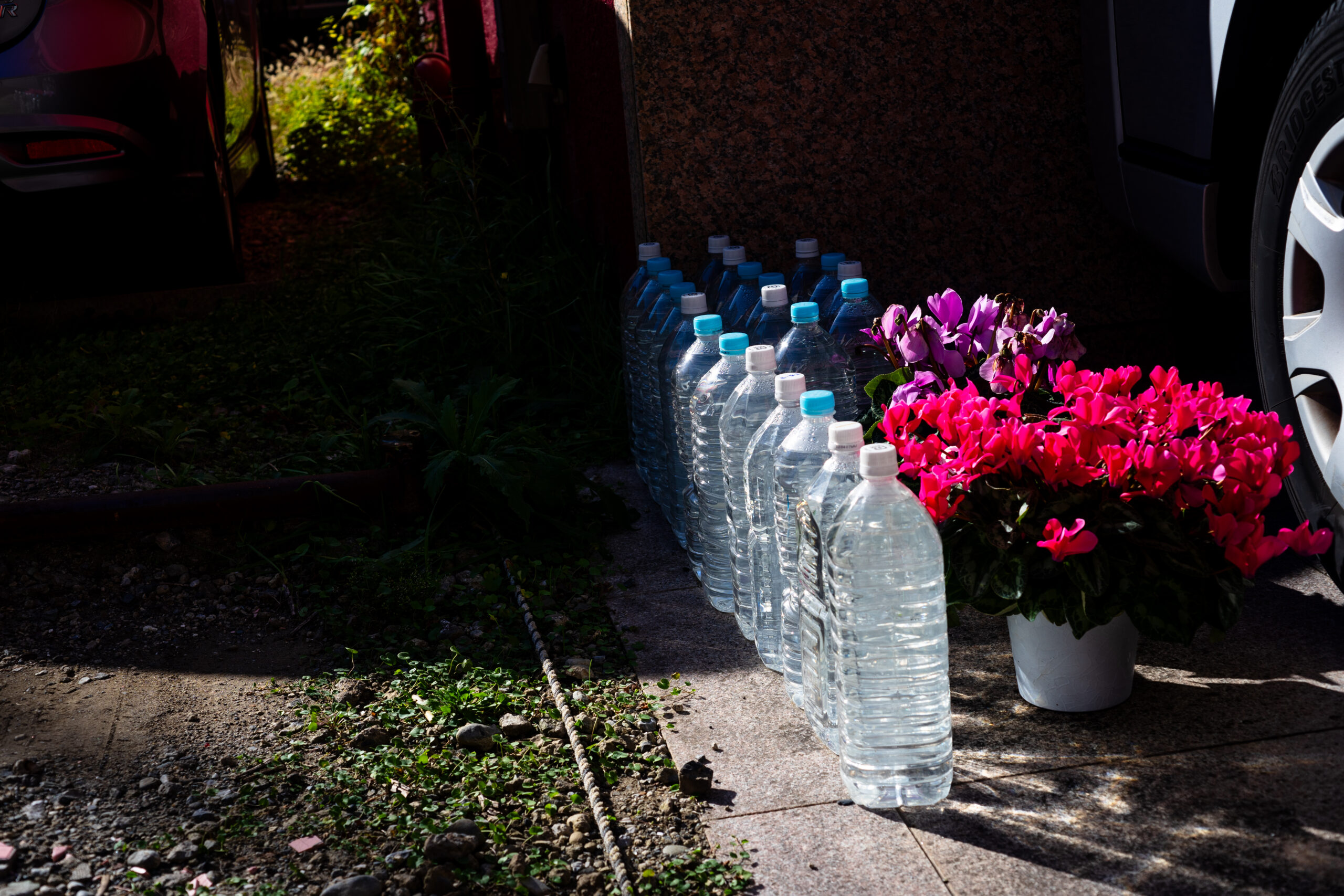 作例&レビュー】Super-Multi-Coated MACRO-TAKUMAR 50mm F4 標準から