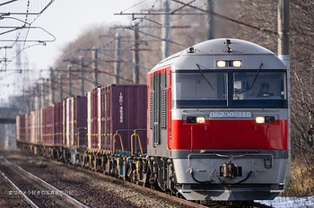 SIGMA 150-600mm F5-6.3 DG OS HSM Contemporary ブログ・機材情報