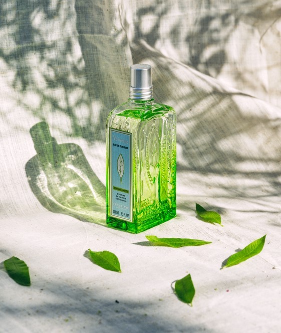 夏といえばの香り！ロクシタンの「ヴァーベナ」シリーズで爽やかに