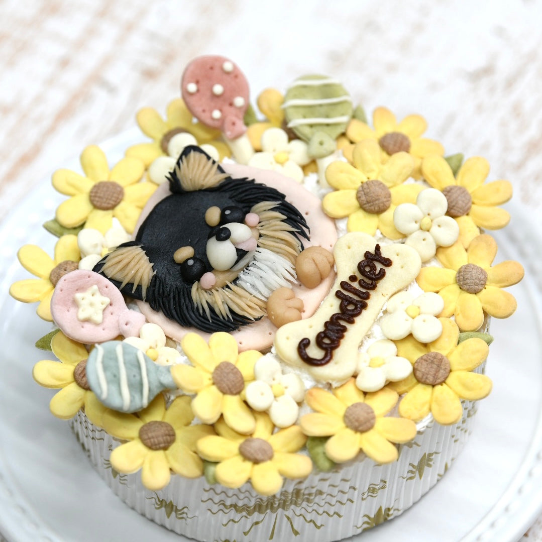 似顔絵ケーキ/SEASON【夏/ひまわり】 – DOG CAKE Candlier