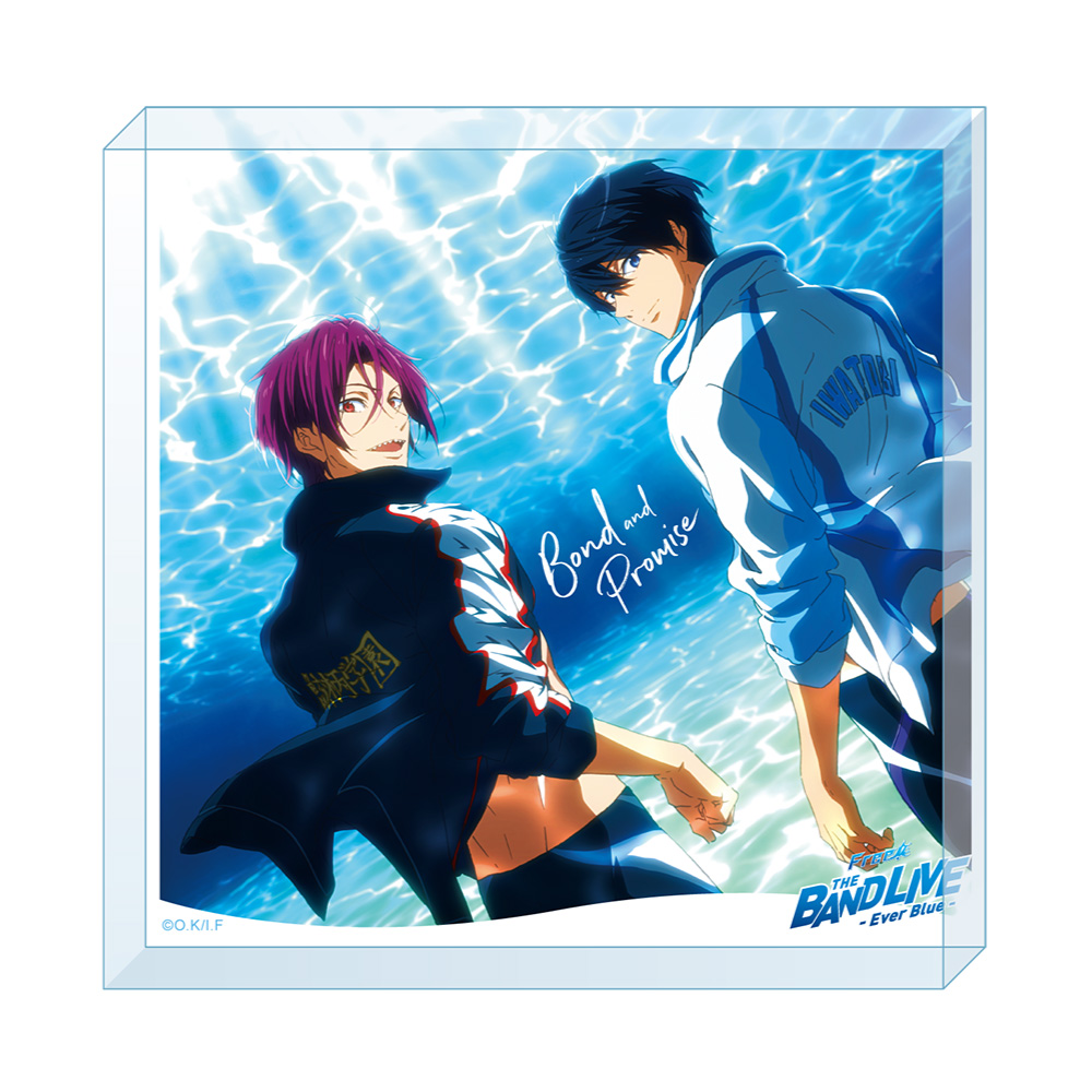 スポーツタオル／鴫野貴澄(Free! 10th Anniversary ‐Memories of