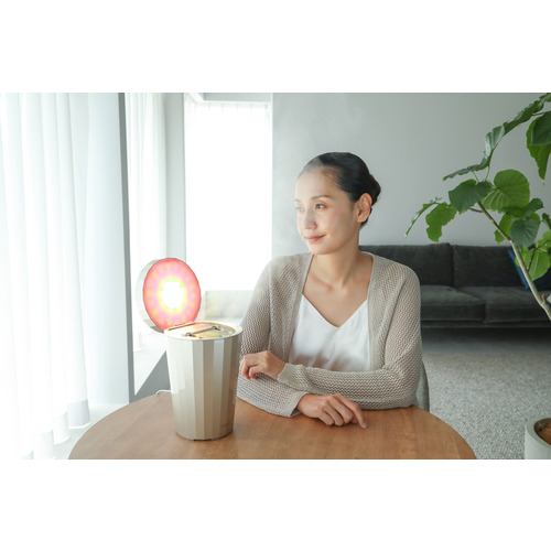 ヤーマン YJSB0N 美顔器スチーマー フォトケア | ヤマダウェブコム