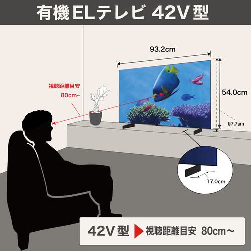 LG Electorinics Japan 有機ELテレビ OLED42C5PJA [42V型 /4K対応 /BS