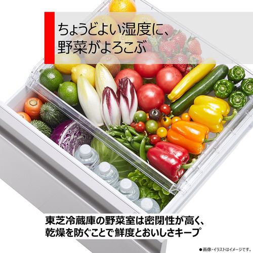 東芝 GR-V36SV(UC) 3ドア冷蔵庫 (356L・右開き) グレインホワイト