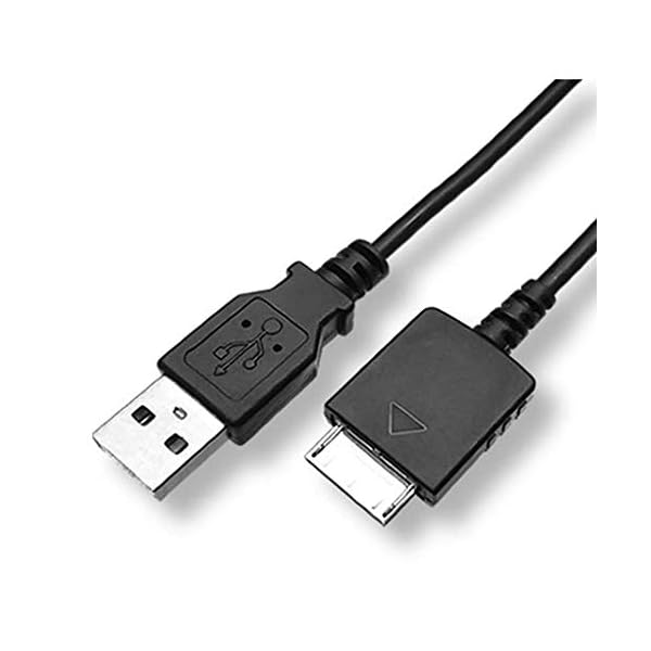 ヤマダモール | 2本 SONY用 Walkman NW-A55 A56 A57 A45 A46 A47 A35