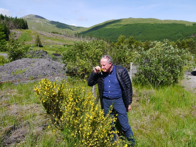 ペンハリガン】ブラステッド ヒース （アルベルト・モリヤス