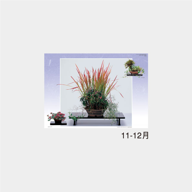 NK-46 野の花・山の花(山野草盆栽集) | 名入れカレンダー2027年 印刷