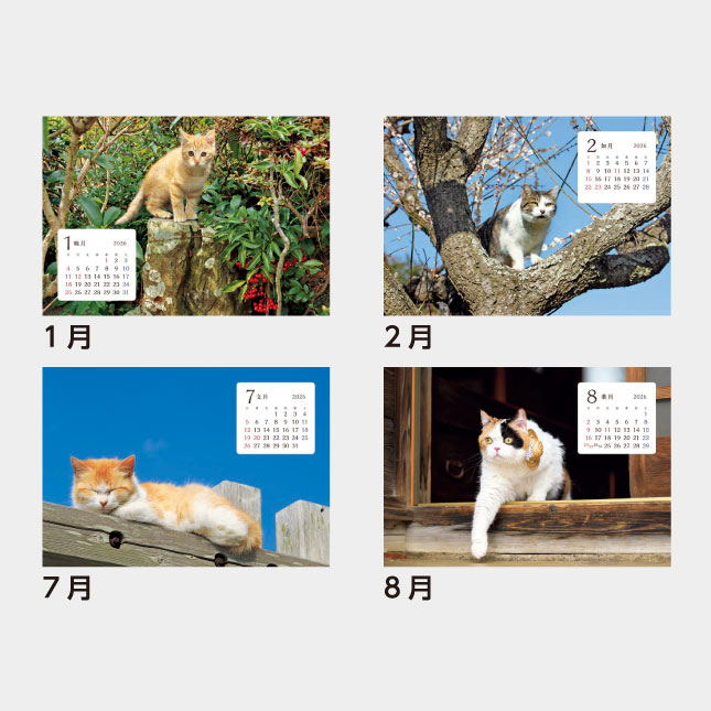 SB-354 卓上 猫さんぽ（ワイド） | 名入れカレンダー2027年 印刷 激安