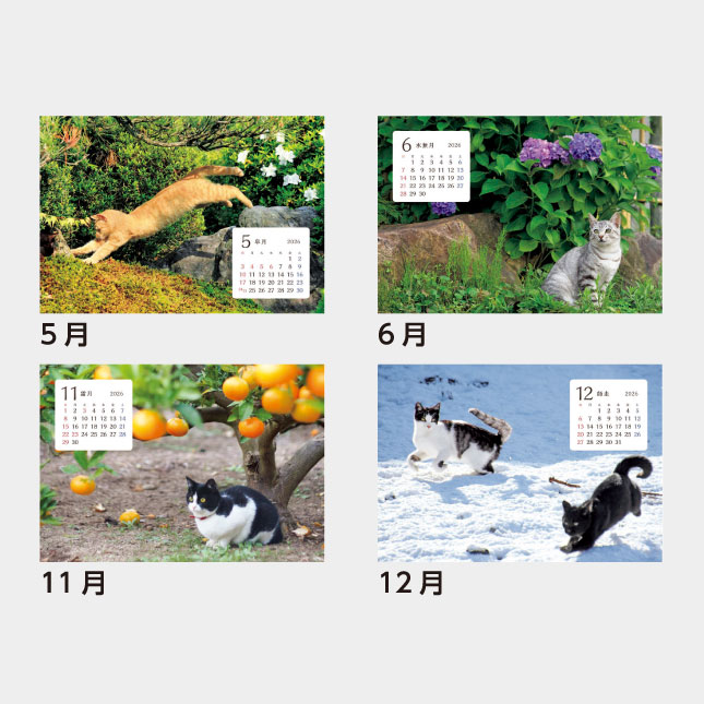 SB-354 卓上 猫さんぽ（ワイド） | 名入れカレンダー2027年 印刷 激安
