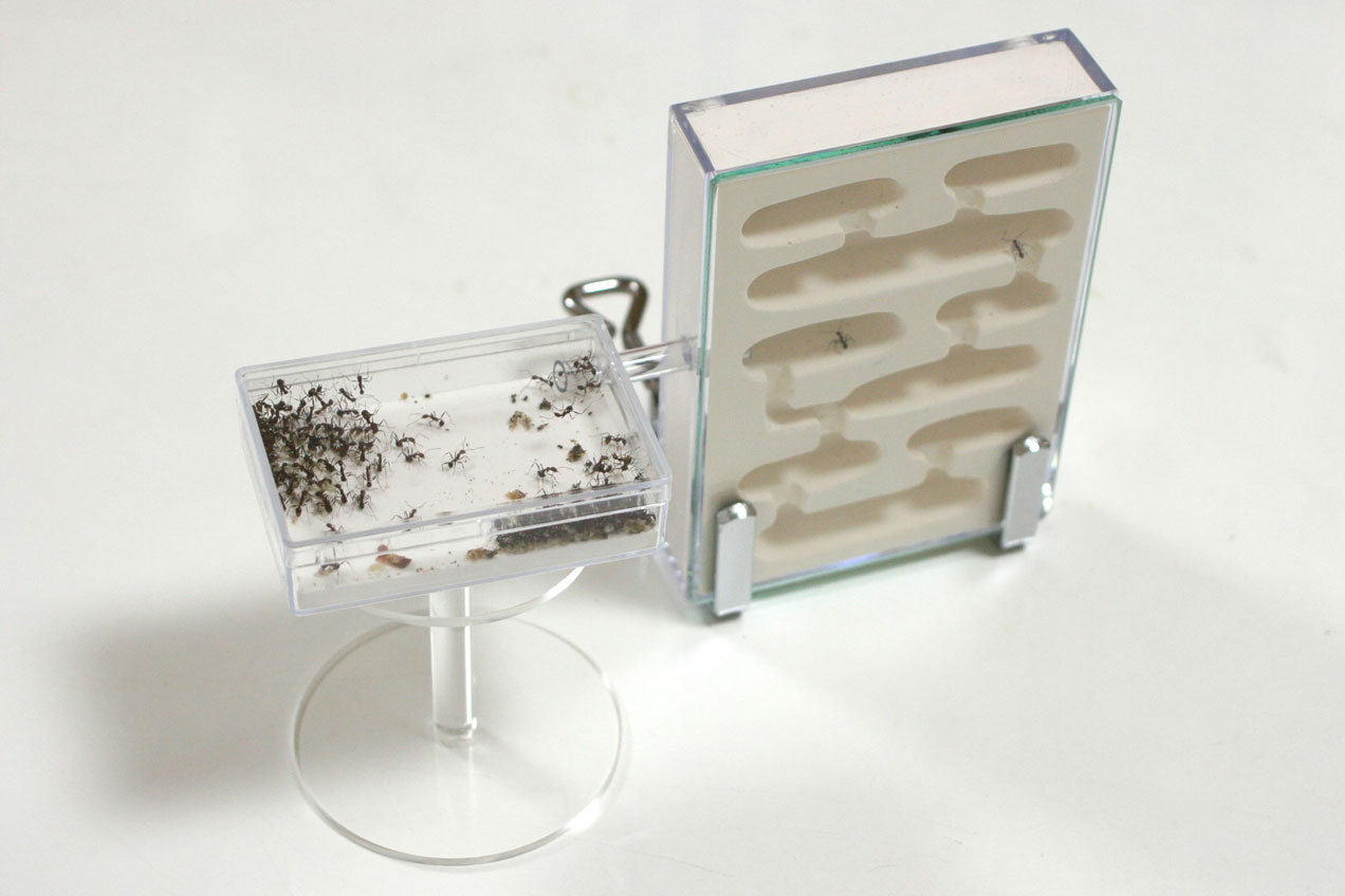 蟻マシーン2号ミニ | Ant Room Web Shop