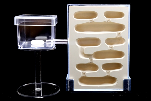 蟻マシーン2号ミニ | Ant Room Web Shop