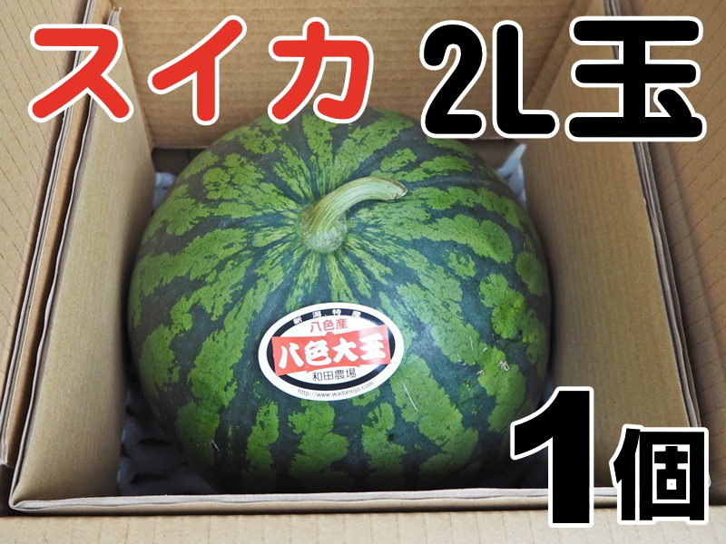 八色産スイカ 2L玉 × 1個 | 和田農場オンラインショップ