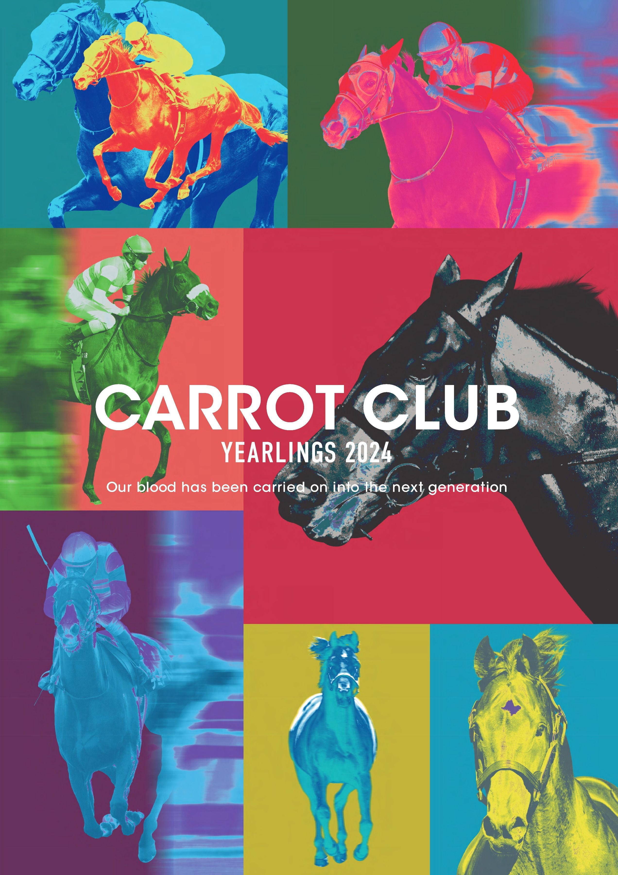 募集馬カタログ電子版 - CARROT CLUB -
