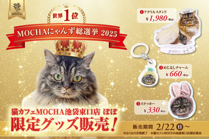 MOCHAにゃんず総選挙2025 世界1位記念グッズのお知らせ | お知らせ